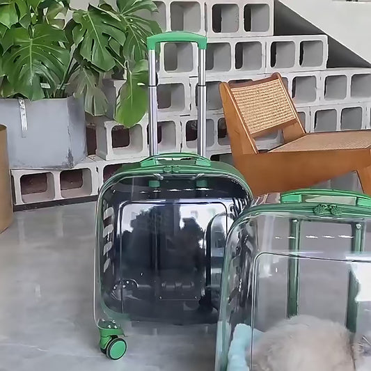 Cat Out Trolley Box Dog Space Capsule Transparent - Natemo