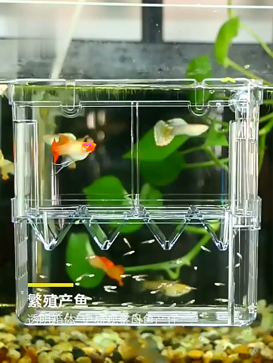 Aquarium Ornamental Fish Breeding Box - Natemo