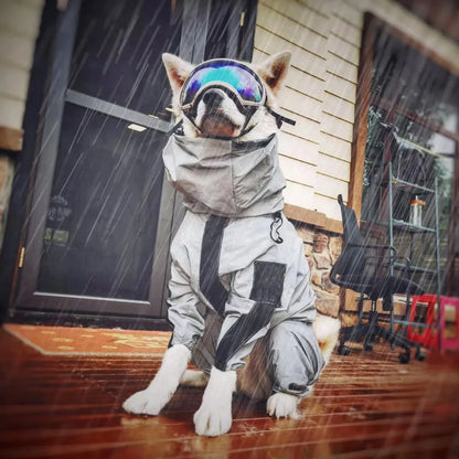 Keep Your Dog Stylish and Protected with Our Outdoor Large Dog Raincoat!