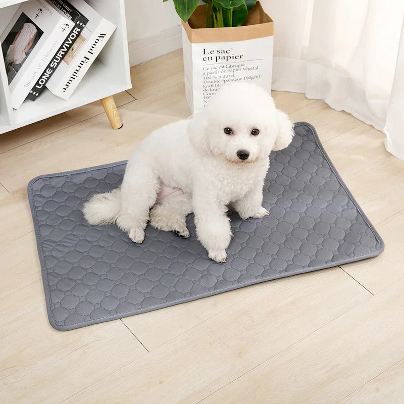 Keep Your Home Clean with Our Reusable Dog Pee Pad Blanket!