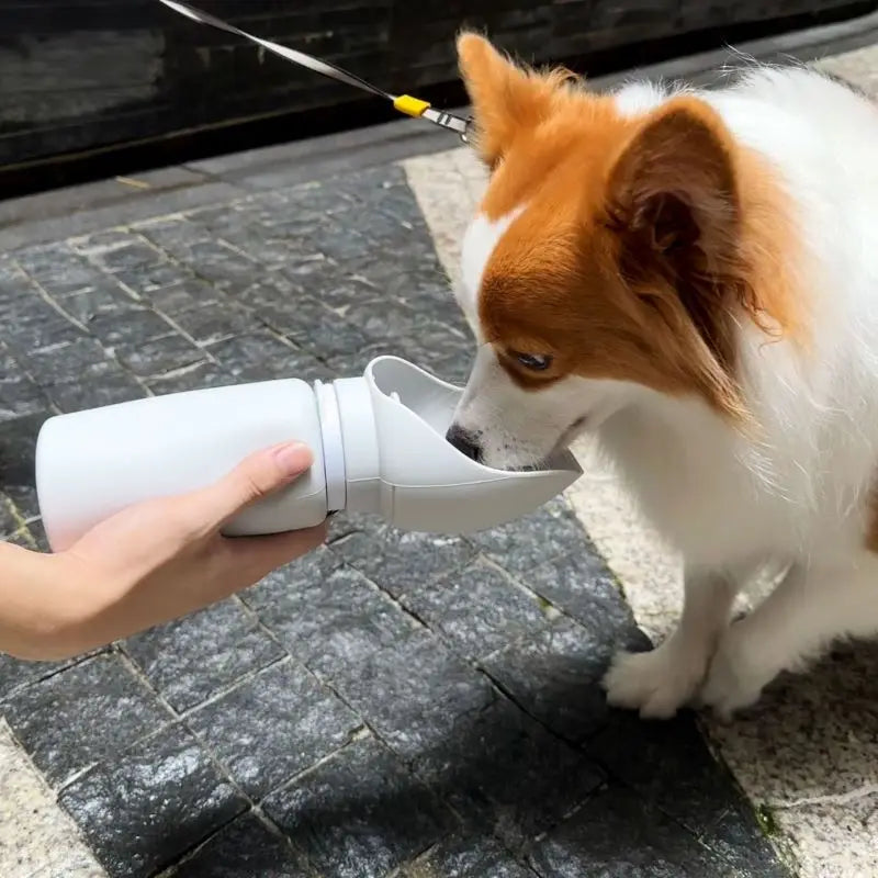 Pet Outdoor Walking Leak Proof Mug: Hydration on the Go!