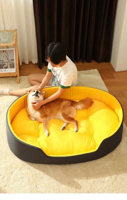 Transform Your Pet’s Sleep Experience with Our New Pet Bed!