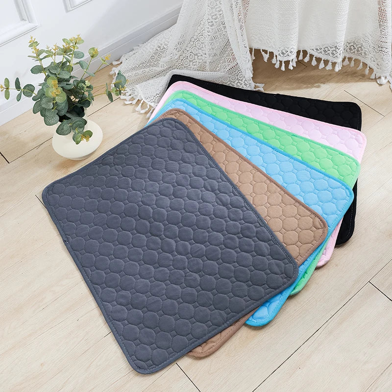 Keep Your Home Clean with Our Reusable Dog Pee Pad Blanket!