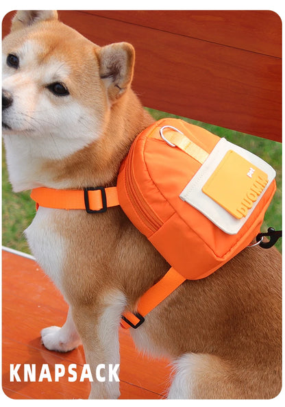 Pet Backpack with Harness: Your Ultimate Travel Companion!