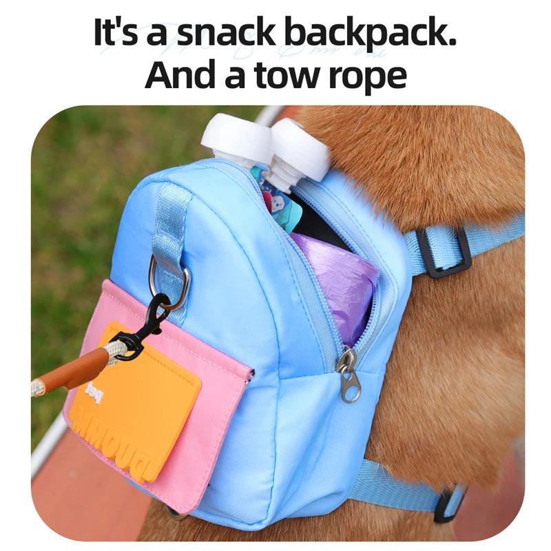 Pet Backpack with Harness: Your Ultimate Travel Companion!