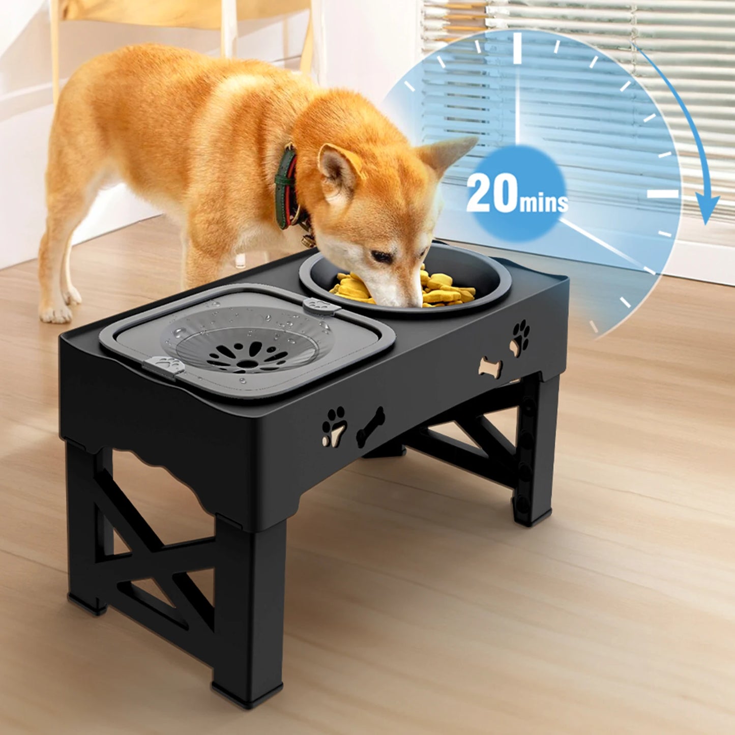 Enhance Mealtime with Our 3-in-1 Pet Feeder!