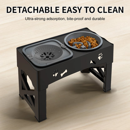 Enhance Mealtime with Our 3-in-1 Pet Feeder!