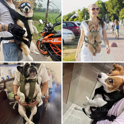 Pet Cat Dog Carrier Backpack: Travel in Comfort and Style!