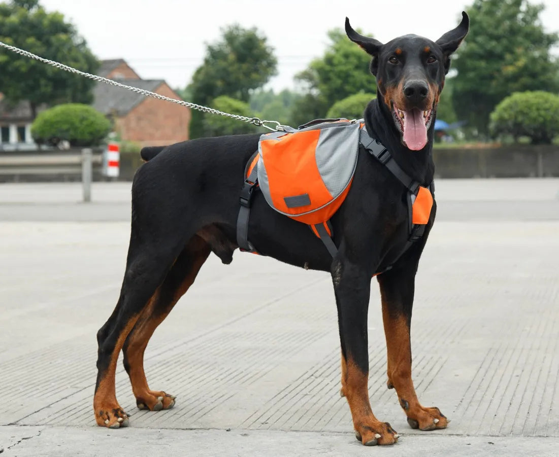 Oxford Fabric Outdoor Dog Backpack: Adventure Awaits!