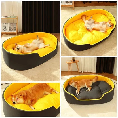 Transform Your Pet’s Sleep Experience with Our New Pet Bed!