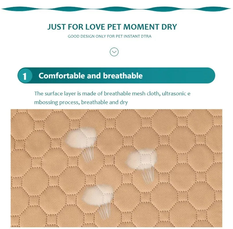 Keep Your Home Clean with Our Reusable Dog Pee Pad Blanket!