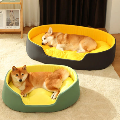 Transform Your Pet’s Sleep Experience with Our New Pet Bed!