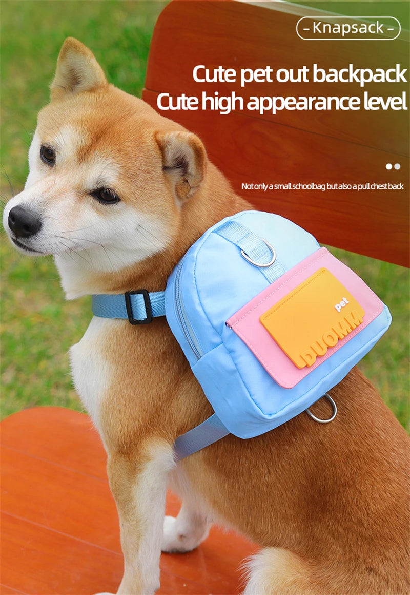 Pet Backpack with Harness: Your Ultimate Travel Companion!